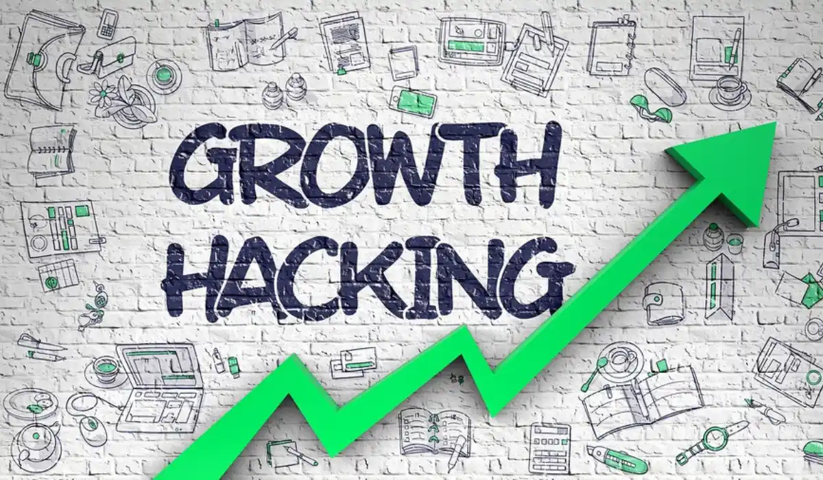 marketing and growth hacking